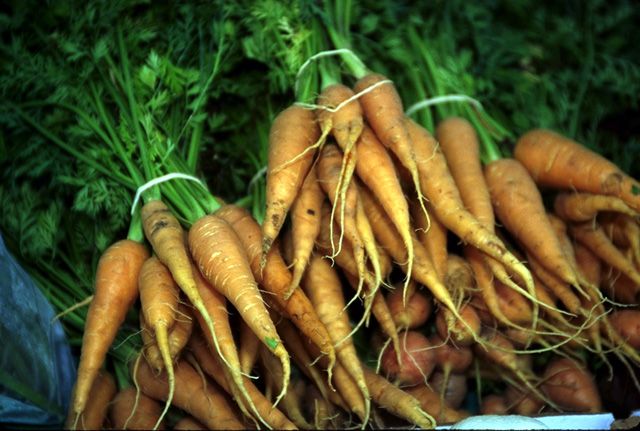 File:Carrots with stems.jpg