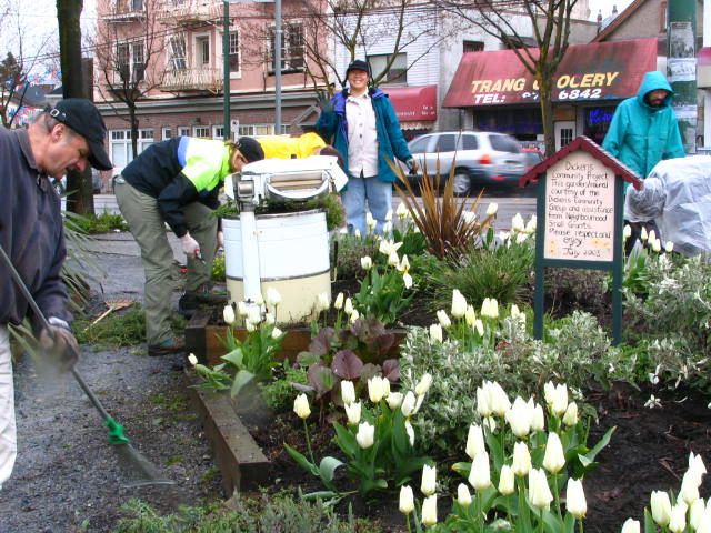 File:Community gardening, East Vancouver.jpg