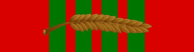 File:Croix de guerre 1939-1945 with palm.jpg