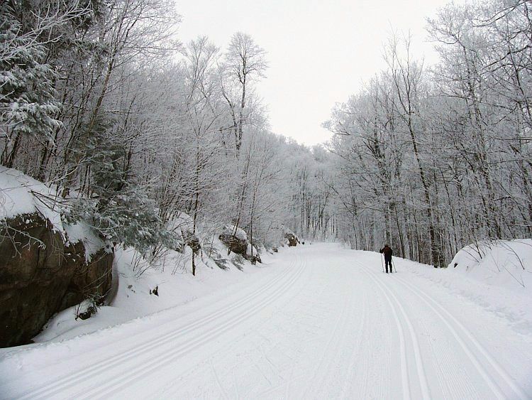 File:GatineauParkSkiing19Dec07.JPG