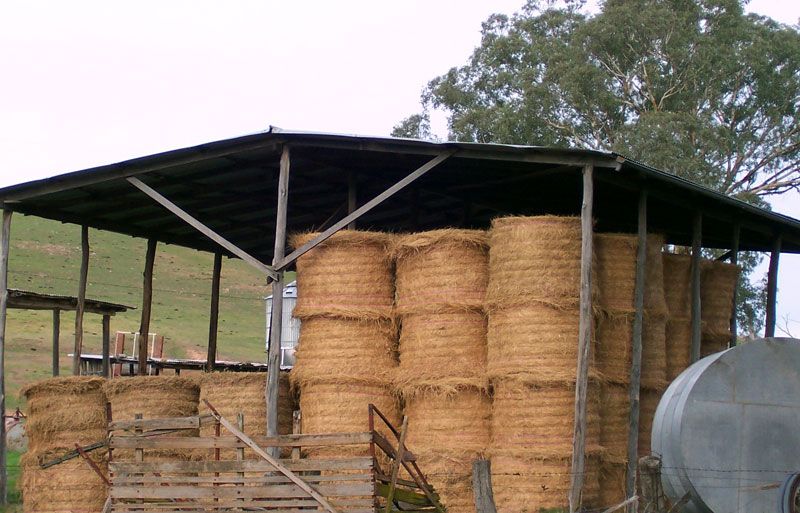 File:Hay-shed.jpg