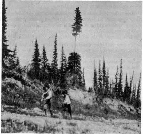 File:Indians tracking past lobstick.jpg