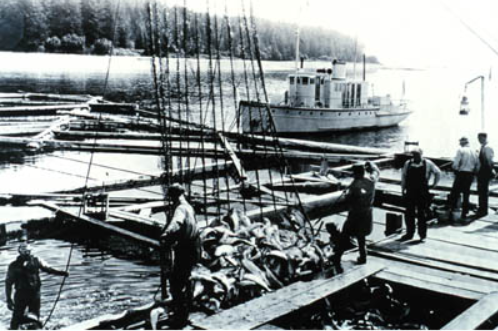 File:MV Widgeon ca. 1938.PNG