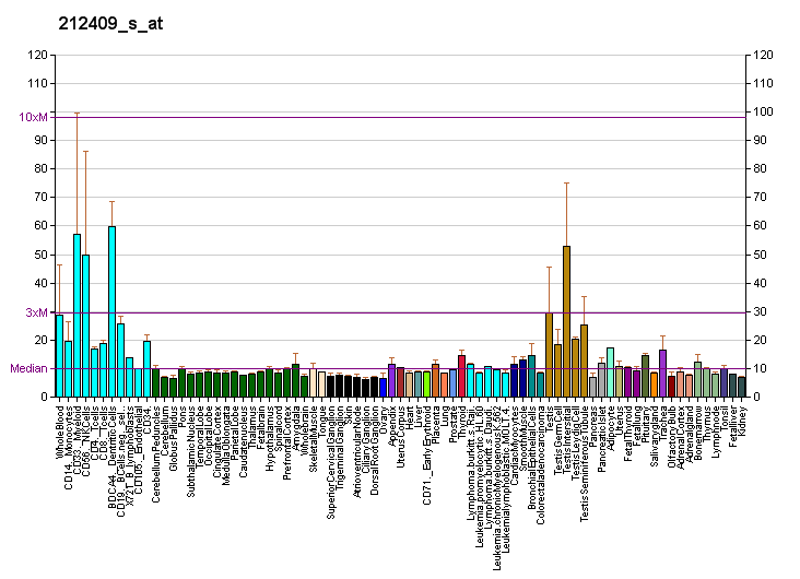 File:PBB GE TOR1AIP1 212409 s at fs.png