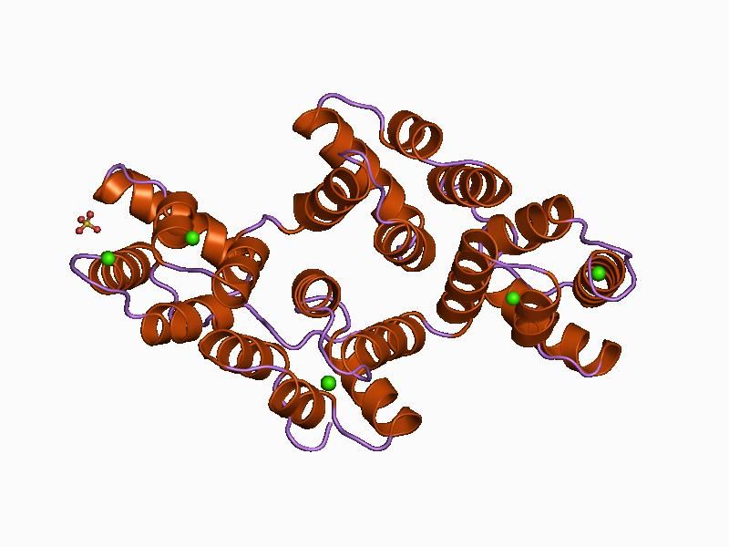 File:PDB 1bcy EBI.jpg