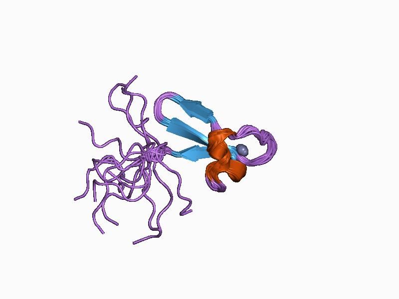 File:PDB 1co4 EBI.jpg