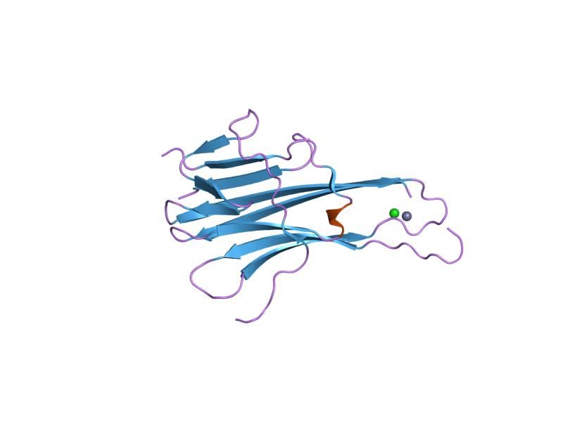 File:PDB 1dg6 EBI.jpg