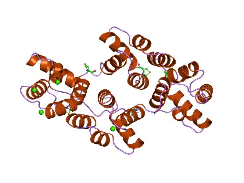 File:PDB 1sav EBI.jpg