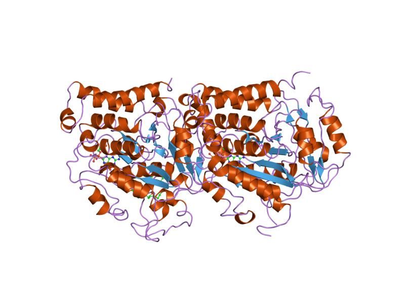 File:PDB 1tvk EBI.jpg