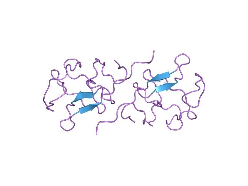 File:PDB 5hpg EBI.jpg