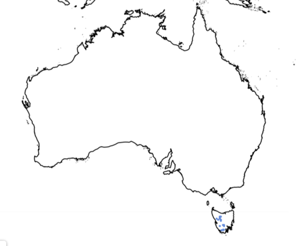 File:Richea Xcurtisiae Distribution.png