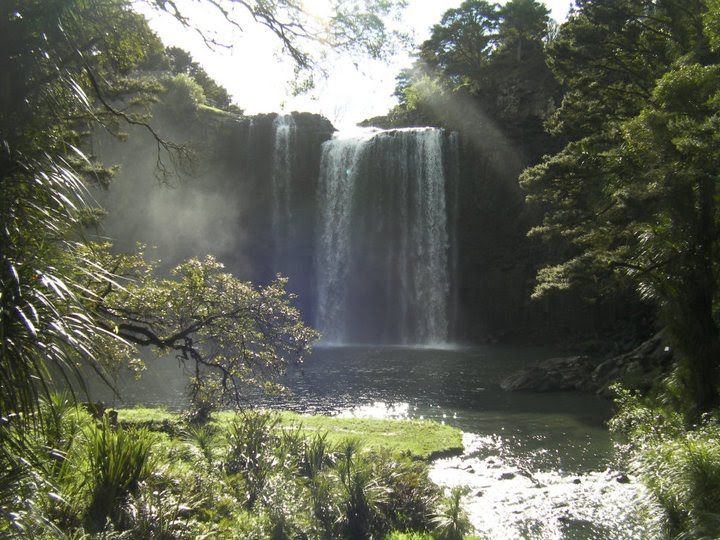 File:Whangarei Falls New Zealand.jpg