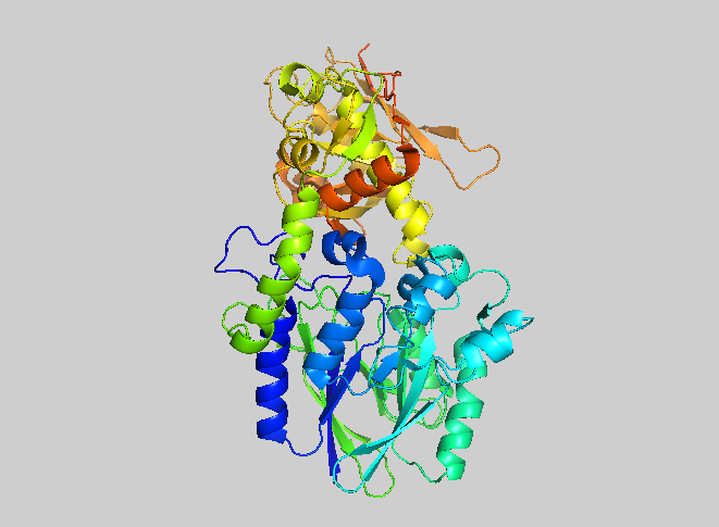 File:5NT PDB Image.png