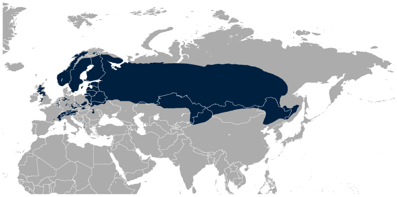 File:Black Grouse Lyrurus tetrix distribution map.png