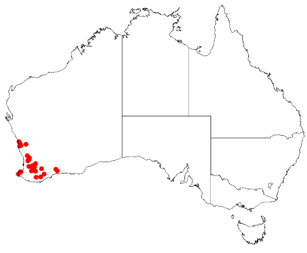 File:Boronia bussellianaDistMap18.png