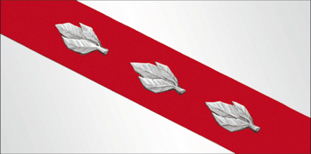 File:Flag of Asvieja.png