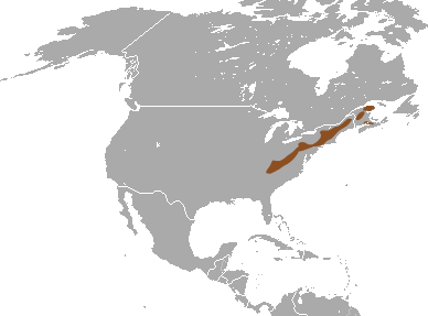 File:Long-tailed Shrew area.png