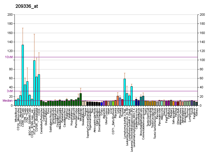 File:PBB GE PWP2 209336 at fs.png