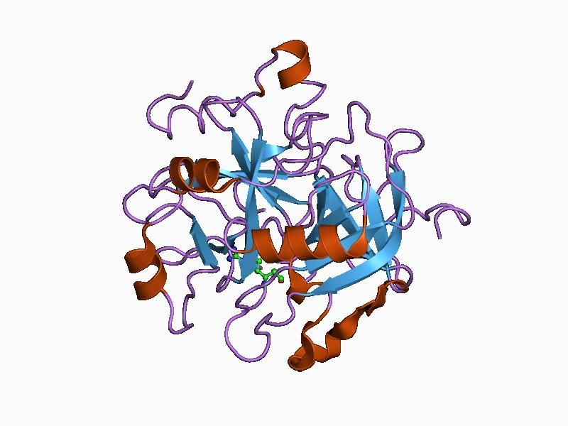 File:PDB 1abi EBI.jpg