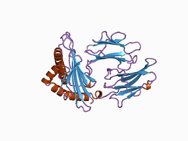 File:PDB 1agd EBI.jpg