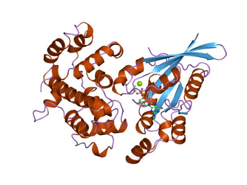 File:PDB 1grn EBI.jpg