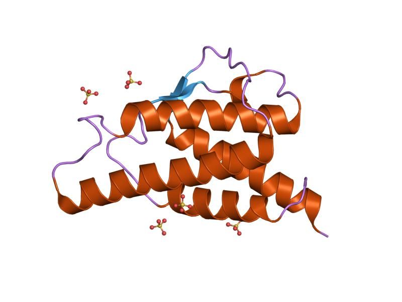 File:PDB 1hzi EBI.jpg