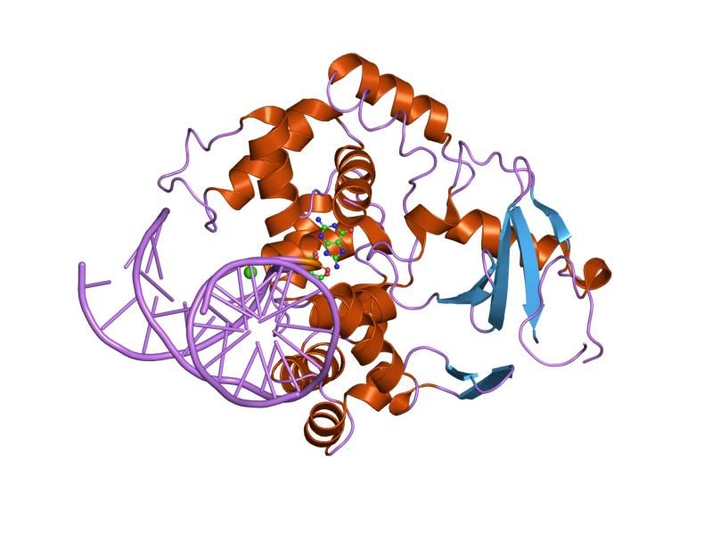 File:PDB 1m3q EBI.jpg