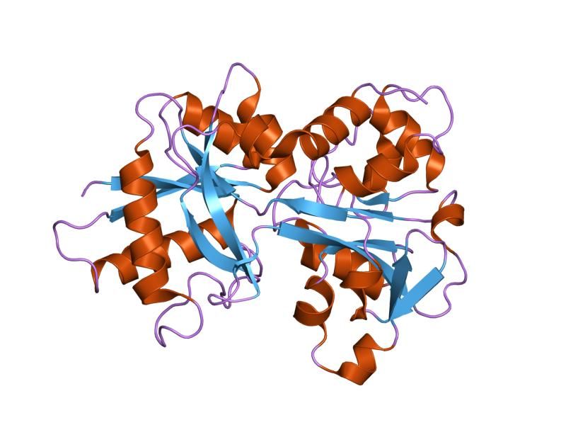 File:PDB 1n7w EBI.jpg