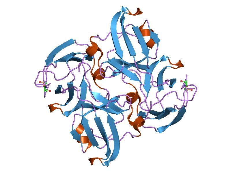 File:PDB 1oki EBI.jpg