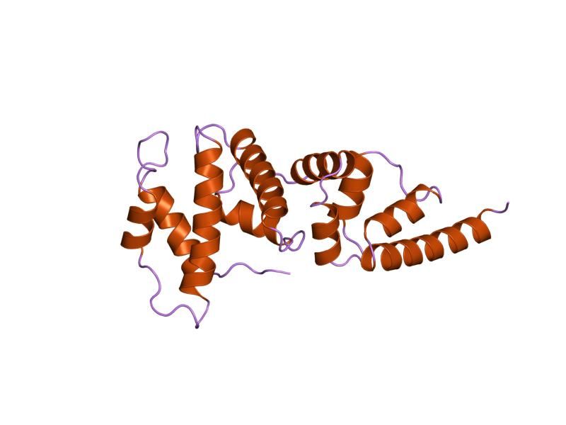 File:PDB 1pbv EBI.jpg