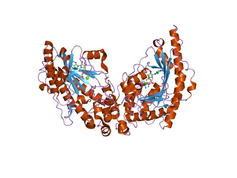 File:PDB 1u6r EBI.jpg