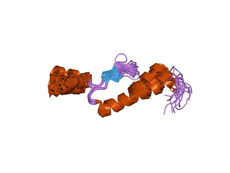 File:PDB 1vdj EBI.jpg