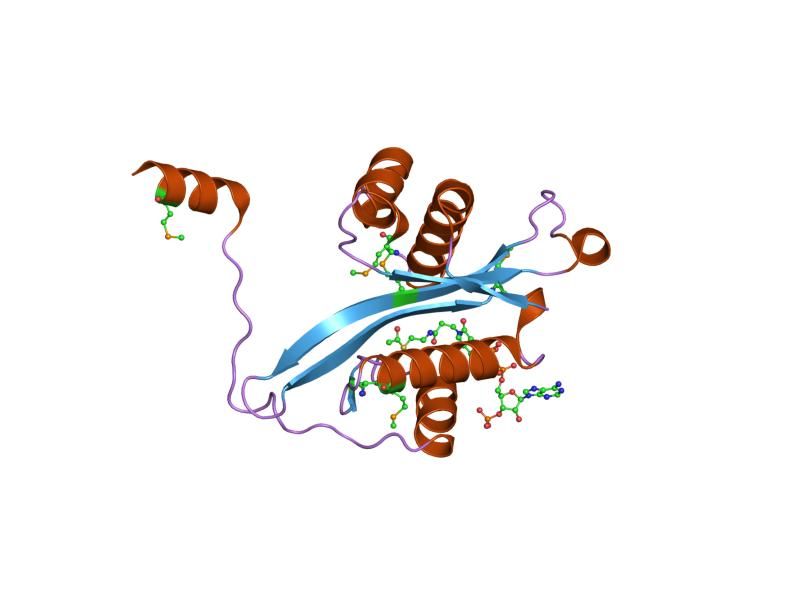 File:PDB 2b3v EBI.jpg