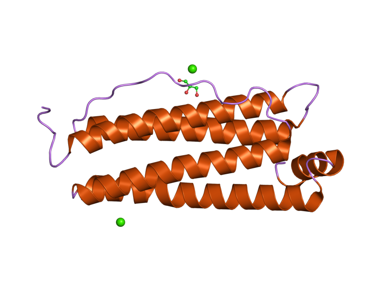 File:PDB 2clu EBI.png