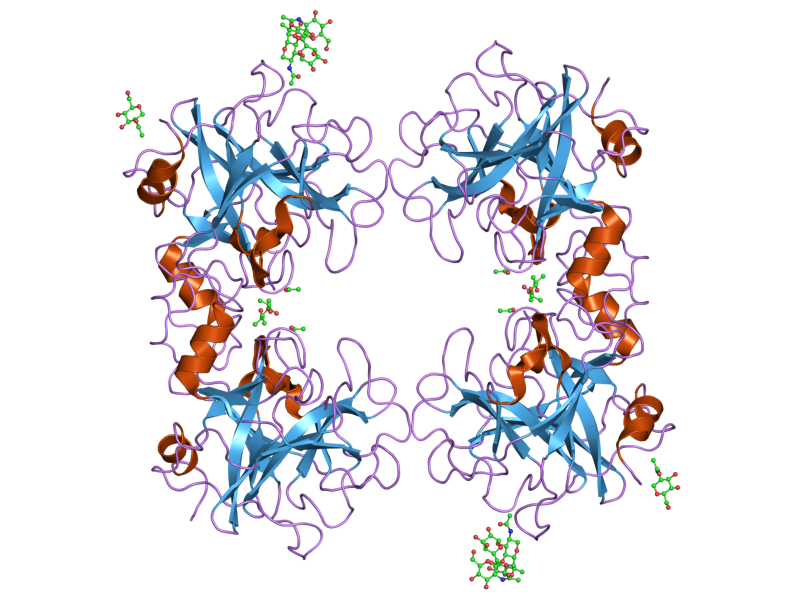 File:PDB 2f9n EBI.png