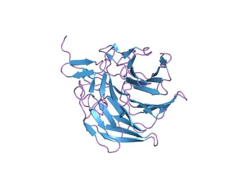 File:PDB 2flu EBI.jpg