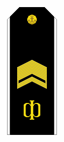 File:RAF N R8SCPO 1994-2010par.png