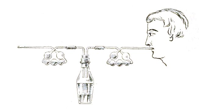 File:Schulze setup.jpg