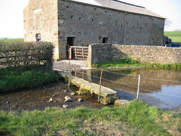 File:Cantsfield Beck - geograph.org.uk - 378596.jpg