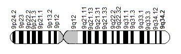 File:Chromosome9.jpg