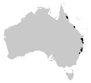 File:Litoria revelata distribution.PNG