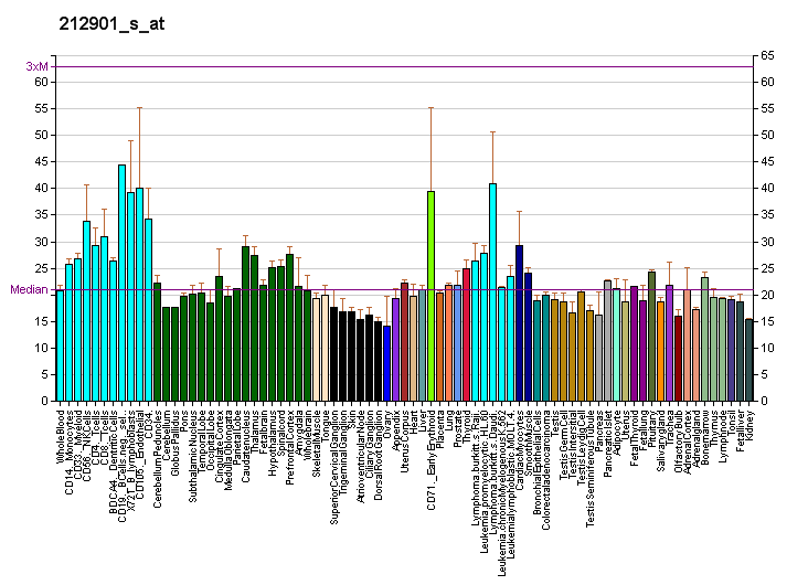 File:PBB GE CSTF2T 212901 s at fs.png