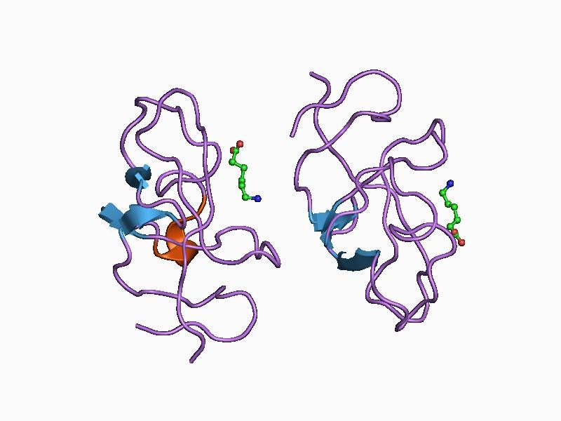 File:PDB 1cea EBI.jpg