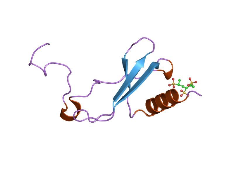 File:PDB 1f9p EBI.jpg