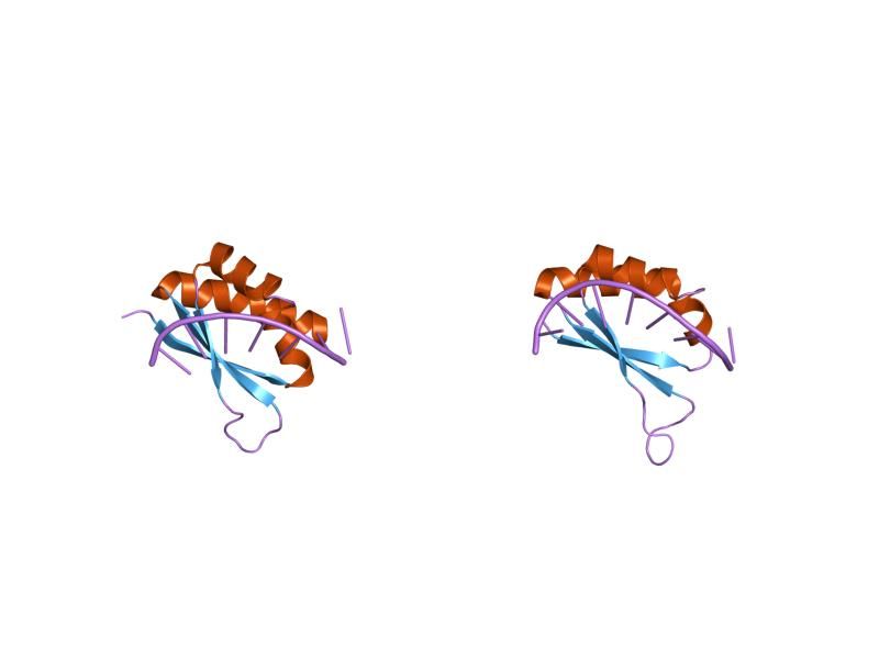 File:PDB 1j4w EBI.jpg