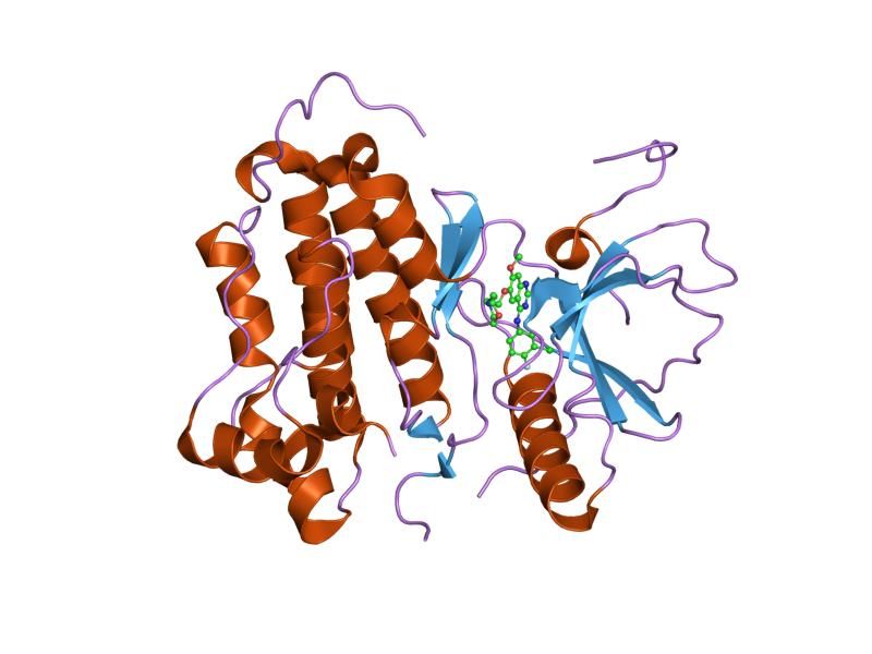 File:PDB 2ity EBI.jpg