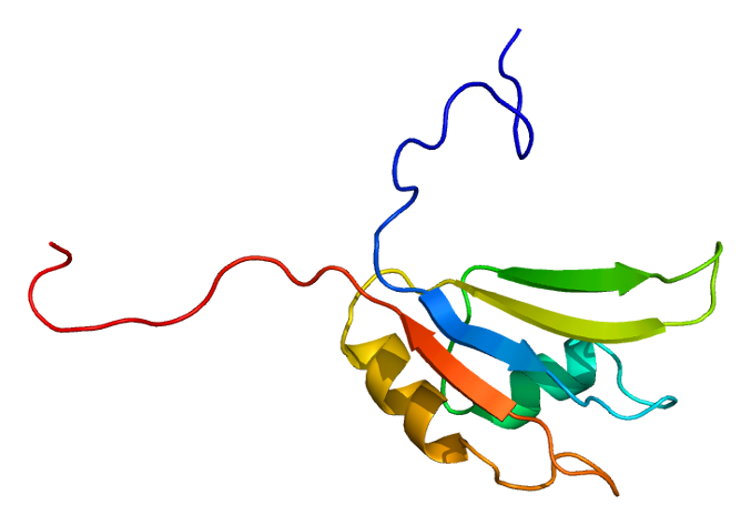 File:Protein HNRPH2 PDB 1wez.png