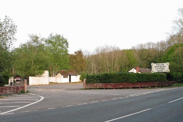 File:Welsh Hawking Centre.jpg