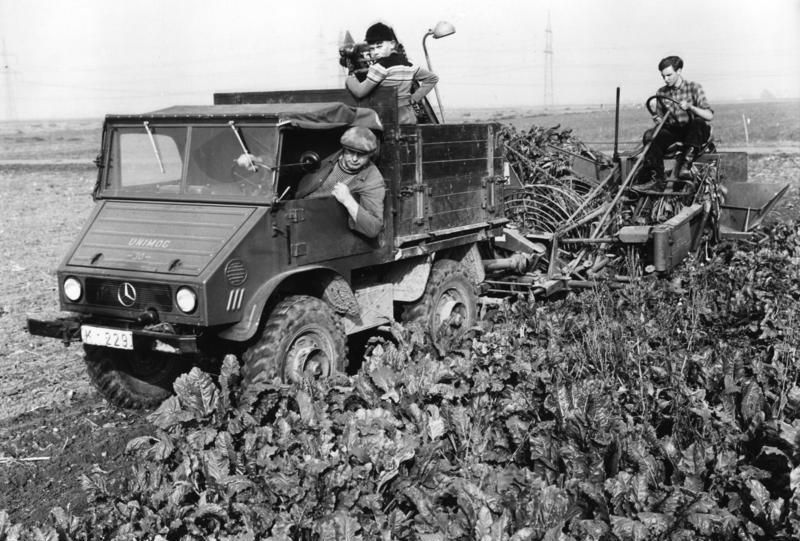 File:Bundesarchiv B 145 Bild-F004772-0001, Sechtem, Rübenernte.jpg