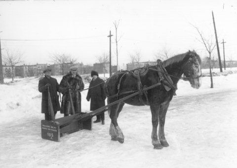 File:Horse-drawn-snowplow-montreal.jpg